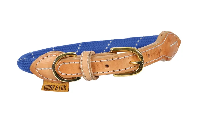 Digby and Fox Reflective Dog Collar in Blue
